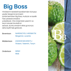 CARPEX MAXX PRO600 KOKU MAKİNESİ KARTUŞU 120ML.x6 ADET KOKU SEÇENEKLİ Big Boss