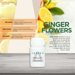 CARPEX MAXX PRO600 KOKU MAKİNESİ KARTUŞU 120ML.x6 ADET KOKU SEÇENEKLİ Big Boss