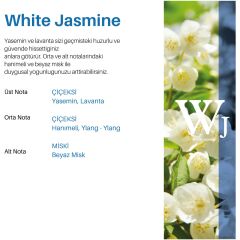 CARPEX MAXX PRO600 KOKU MAKİNESİ KARTUŞU 120ML.x6 ADET KOKU SEÇENEKLİ Big Boss