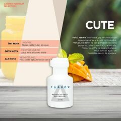 CARPEX A1 PRO 900 KOKU MAKİNESİ SİYAH+ SEÇENEKLİ KOKU KARTUŞU 200ML.