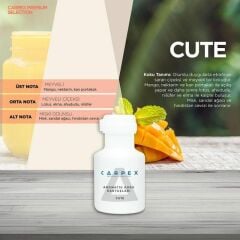 CARPEX A1 PRO 900 KOKU MAKİNESİ SİYAH+ SEÇENEKLİ KOKU KARTUŞU 200ML.