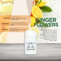 CARPEX E2 POWER KOKU MAKİNESİ + SEÇENEKLİ KOKU KARTUŞU 125ML.