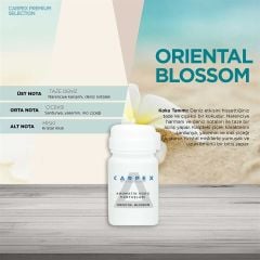 CARPEX E2 POWER KOKU MAKİNESİ + SEÇENEKLİ KOKU KARTUŞU 125ML.