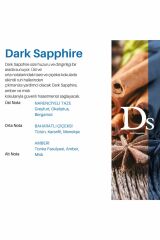 CARPEX AURAMAX 1200 L GENİŞ ALAN KOKU MAKİNESİ SİYAH + DARK SAPPHİRE KOKU KARTUŞU 250ML.