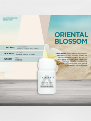 CARPEX MİCRO BLUETOOTH KOKU MAKİNESİ SİYAH + SEÇENEKLİ KOKU KARTUŞU 50ML.