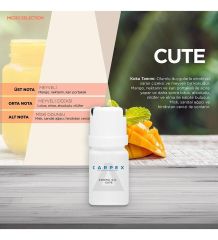 CARPEX MİCRO KOKU MAKİNESİ KARTUŞU 50ML.X 6 ADET KOKU SEÇENEKLİ