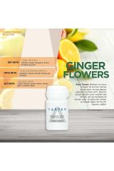 CARPEX E2 POWER KOKU MAKİNESİ KARTUŞU 125ML.KOKU SEÇENEKLİ