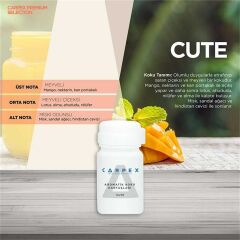 CARPEX E2 POWER KOKU MAKİNESİ KARTUŞU 125ML.X 6 ADET KOKU SEÇENEKLİ