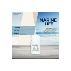 CARPEX E2 POWER KOKU MAKİNESİ KARTUŞU 125ML.X 6 ADET KOKU SEÇENEKLİ